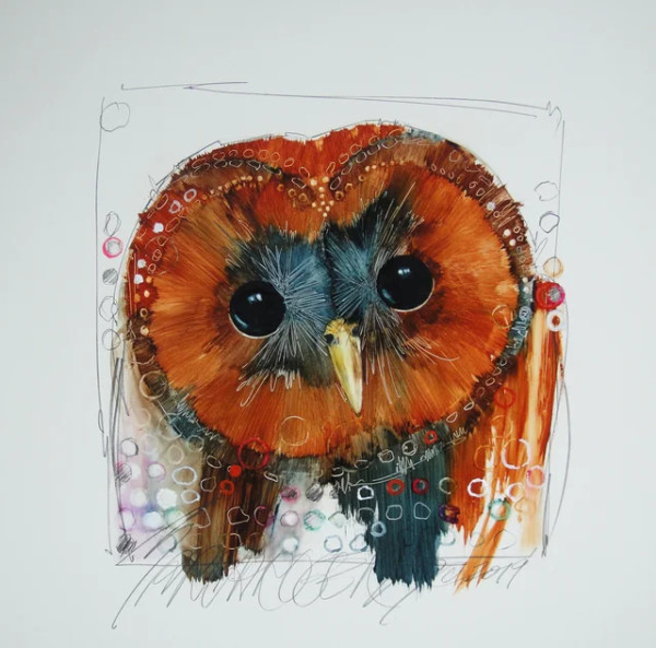 Spotted Owl #26/50 by Sarah Rogers