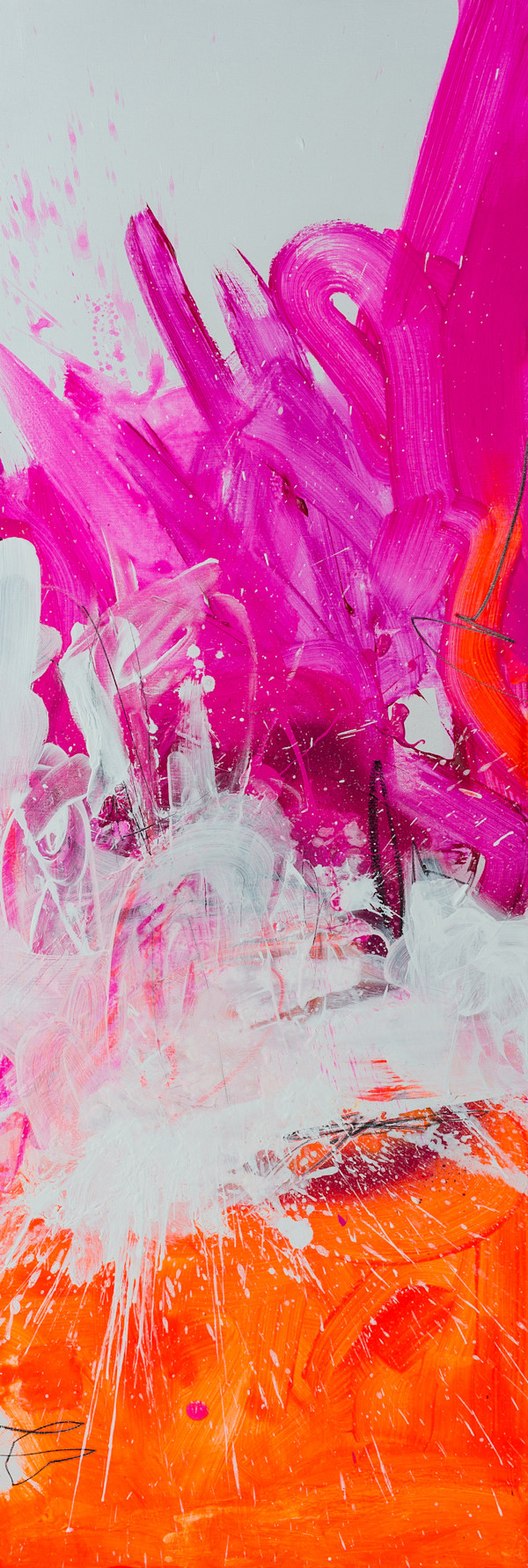THE POWER OF TRANSCENDENCE by Petronilla Hohenwarter