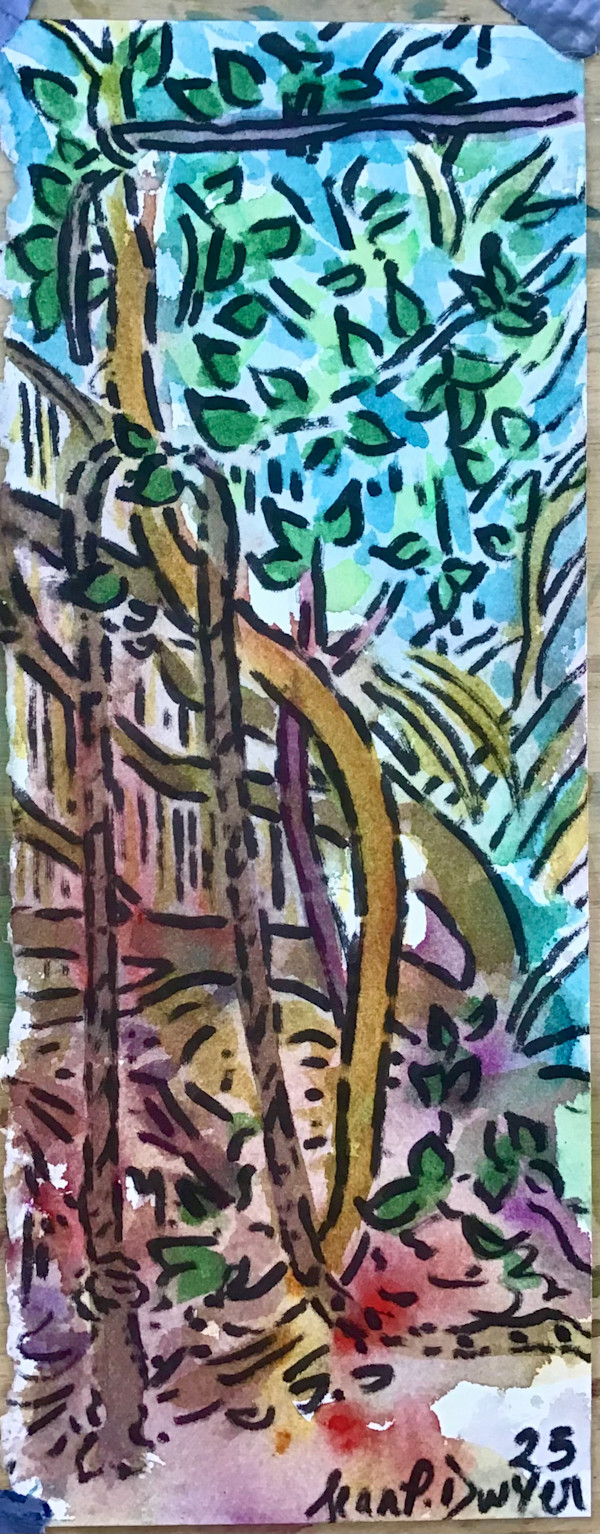 Snapshot of Leo’s Lookout by seanpdwyer, Image 7.
