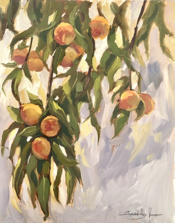 Peaches at Hassans' Garden by Gonzalo Ruiz Navarro