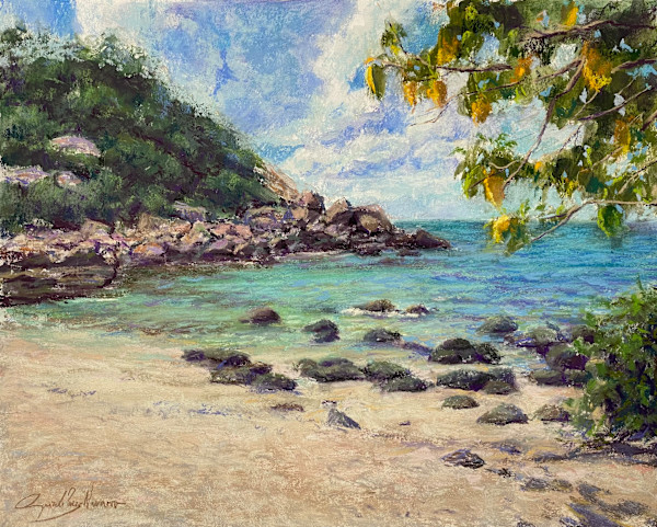 Pigeon Island by Gonzalo Ruiz Navarro, Image 1.