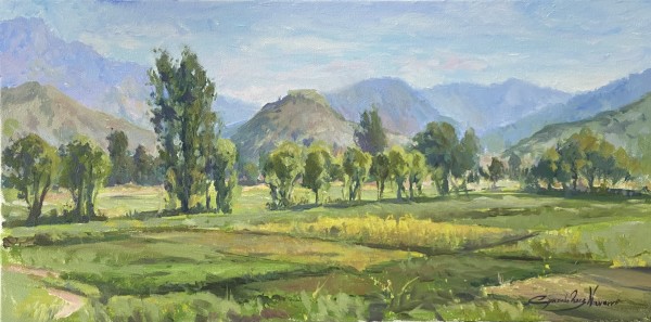 Swat Valley Fields by Gonzalo Ruiz Navarro