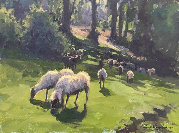 Sheep in Hapakun by Gonzalo Ruiz Navarro