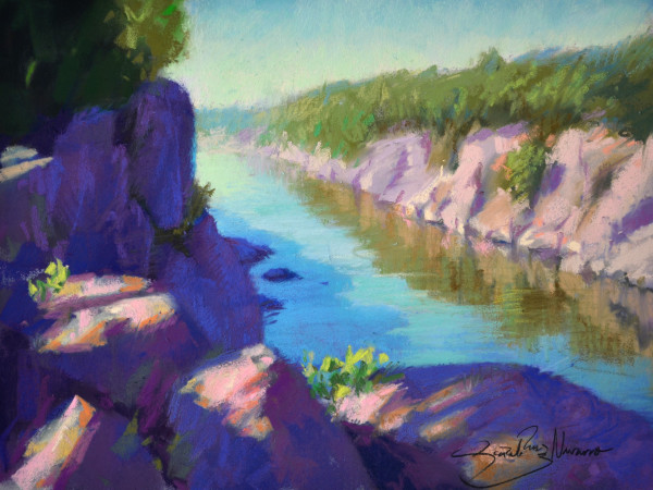Potomac near Great Falls by Gonzalo Ruiz Navarro