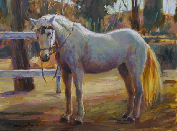 White Horse by Gonzalo Ruiz Navarro