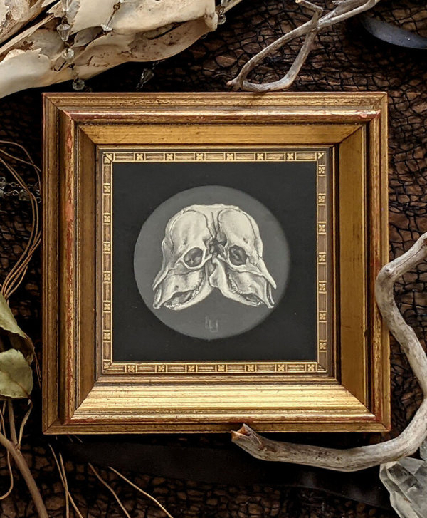"Two Bodies" - Original Drawing of Conjoined Calf Skulls - Framed Mantle Art by Layil Umbralux