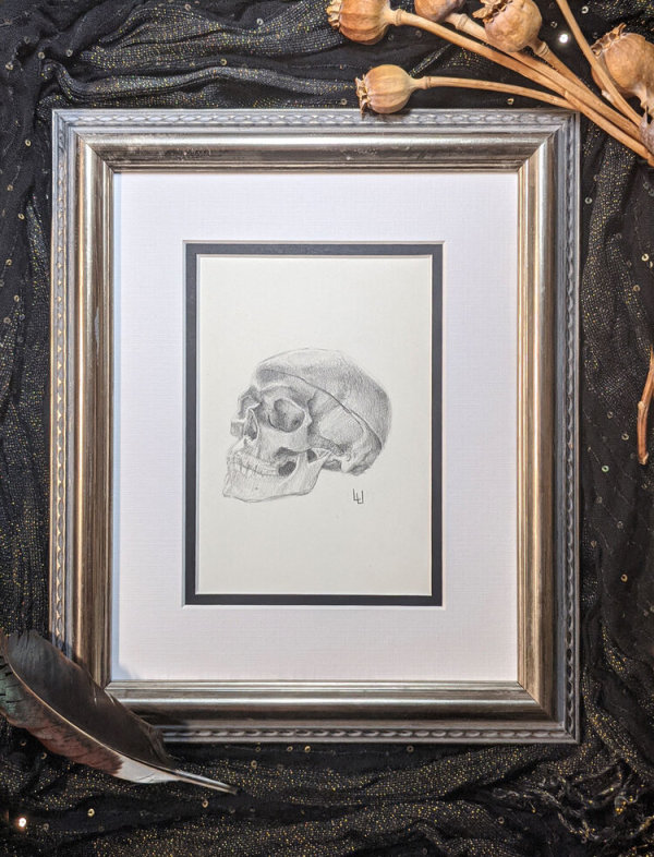 "Of what Materials?" - Original Drawing of Human Skull - Framed Mantle Art