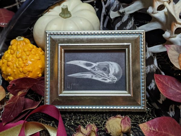 "His Eyes Have All the Seeming" - Original Drawing of Crow Skull - Framed Small Mantle Art