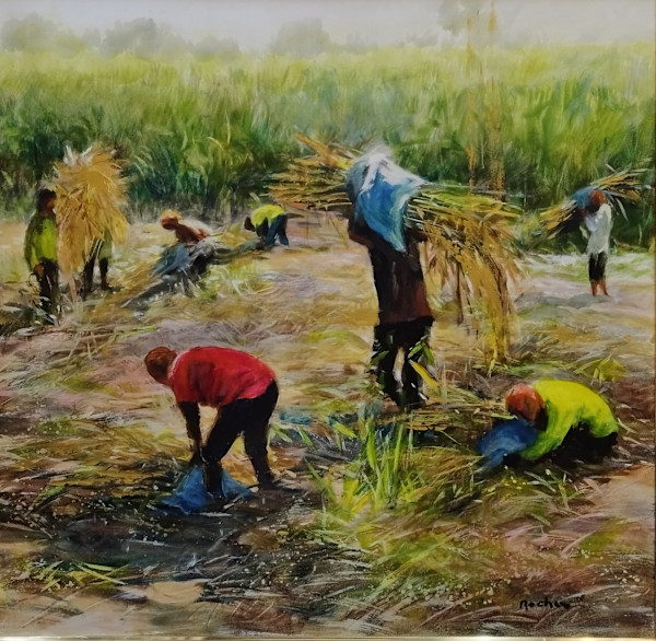 Tubo Harvest by Jun Rocha