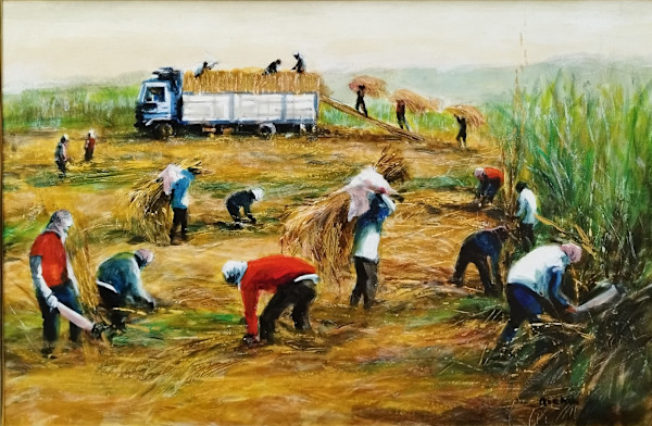 Loading Sugar Cane by Jun Rocha
