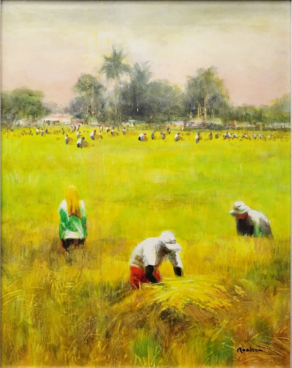 Rice Harvest Season by Jun Rocha