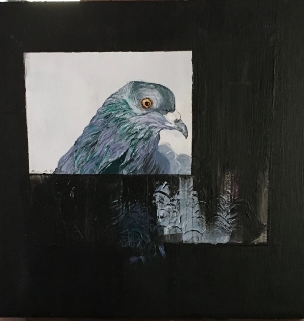 Birds - Pigeon Trapped by Ann A Blake