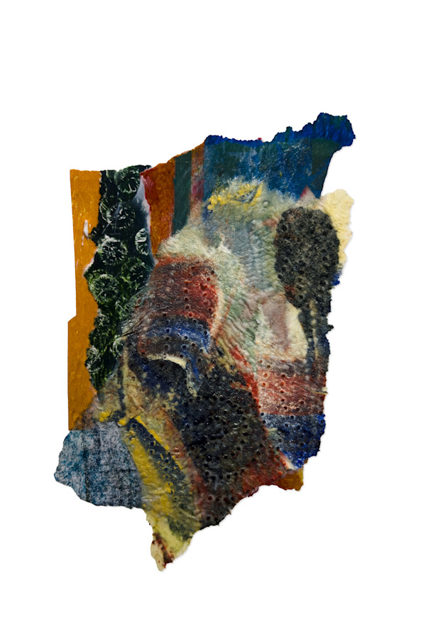 Day 980— Oct 24, 2026 by Frank den Os, Image 1.