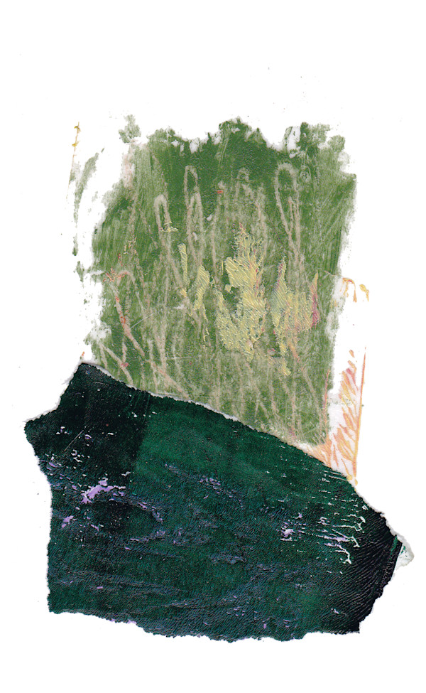 Day 115 — Jun 11, 2024 by Frank den Os, Image 1.