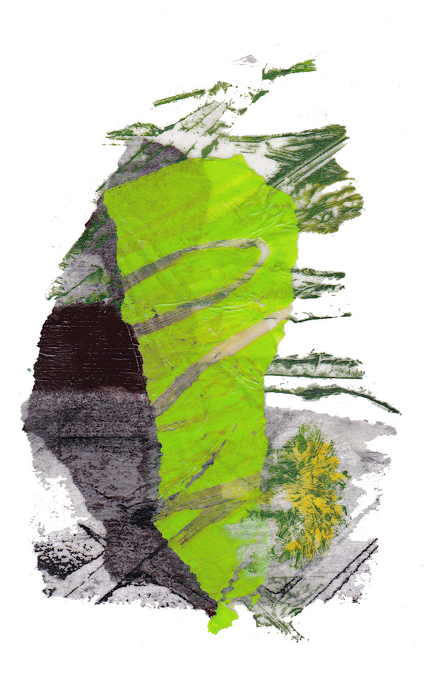 Day 134 — Jun 30, 2024 by Frank den Os, Image 1.