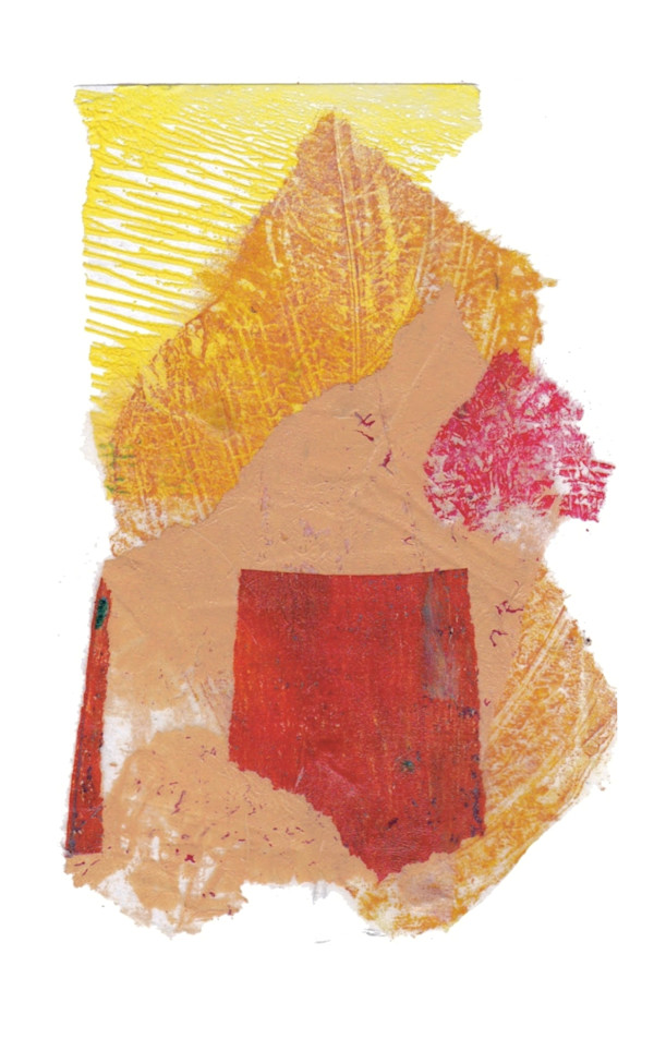Day 176 — Aug 11, 2024 by Frank den Os, Image 1.