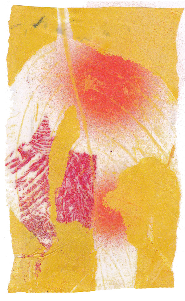Day 184 — Aug 19, 2024 by Frank den Os, Image 1.
