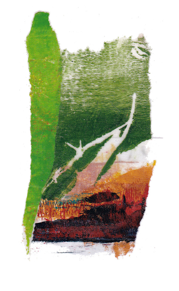 Day 204 — Sep 8, 2024 by Frank den Os, Image 1.