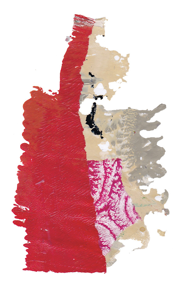 Day 210 — Sep 14, 2024 by Frank den Os, Image 1.