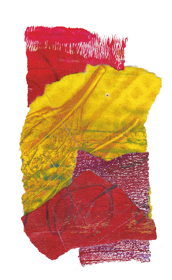 Day 237 — Oct 11, 2024 by Frank den Os, Image 1.