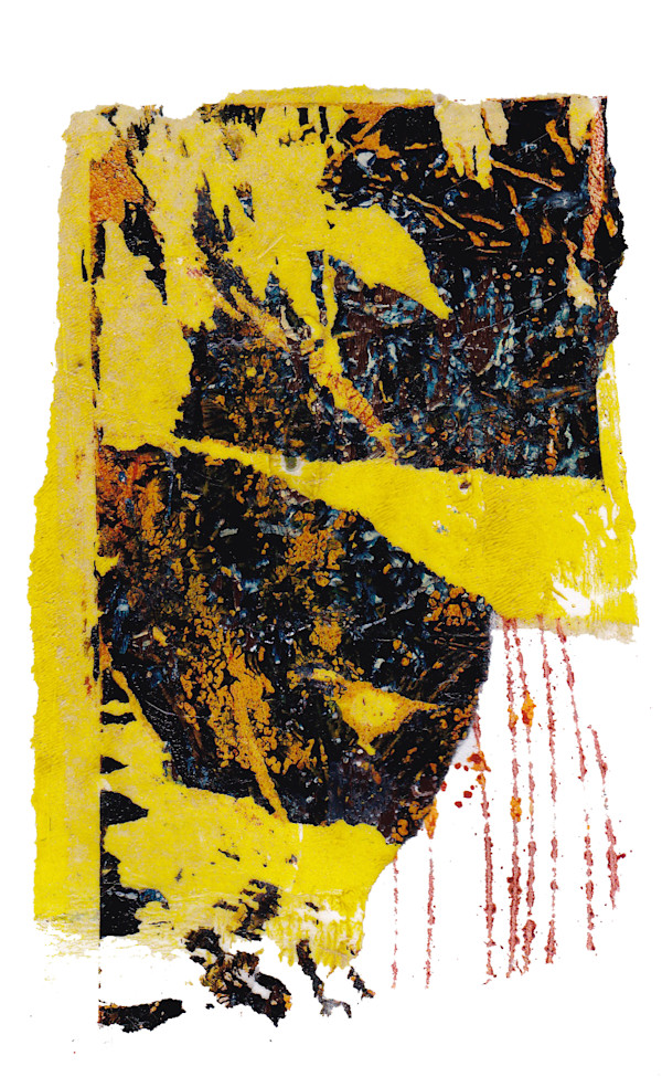 Day 249 — Oct 23, 2024 by Frank den Os, Image 1.