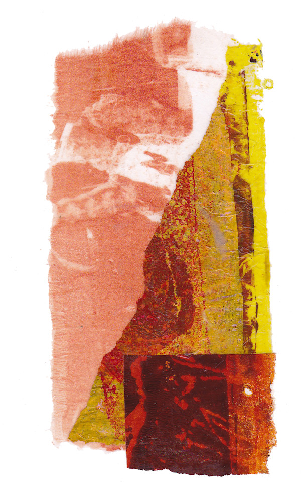 Day 259 — Nov 2, 2024 by Frank den Os, Image 1.