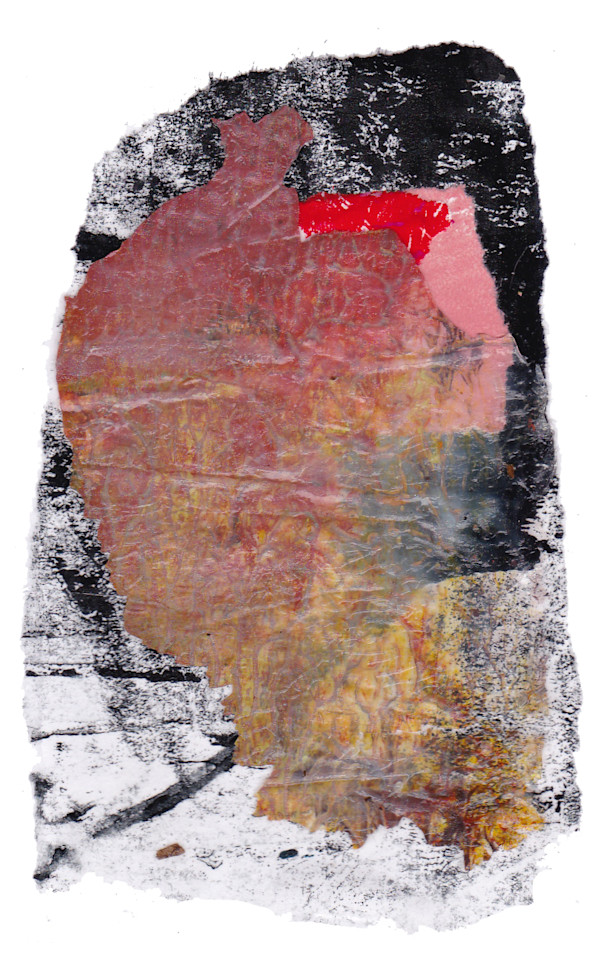 Day 263 — Nov 6, 2024 by Frank den Os, Image 1.