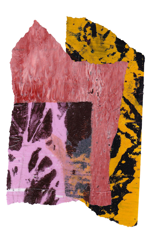Day 267 — Nov 10, 2024 by Frank den Os, Image 1.