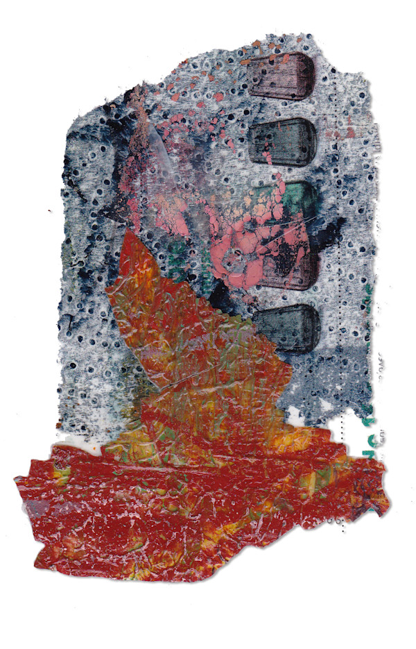 Day 290 — Dec 3, 2024 by Frank den Os, Image 1.