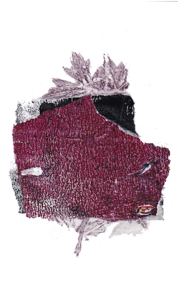 Day 293 — Dec 6, 2024 by Frank den Os, Image 1.
