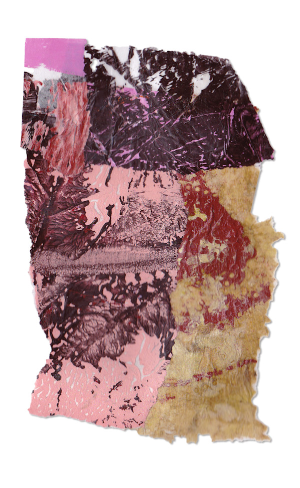 Day 295 — Dec 8, 2024 by Frank den Os, Image 1.