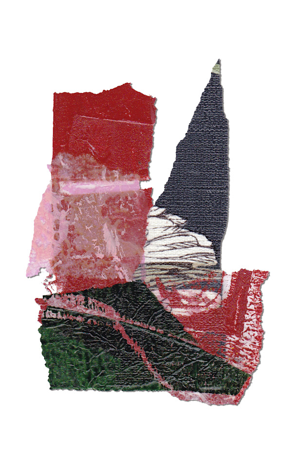 Day 307 — Dec 20, 2024 by Frank den Os, Image 1.