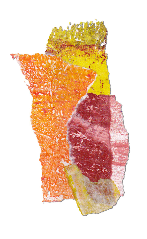 Day 311 — Dec 24, 2024 by Frank den Os, Image 1.
