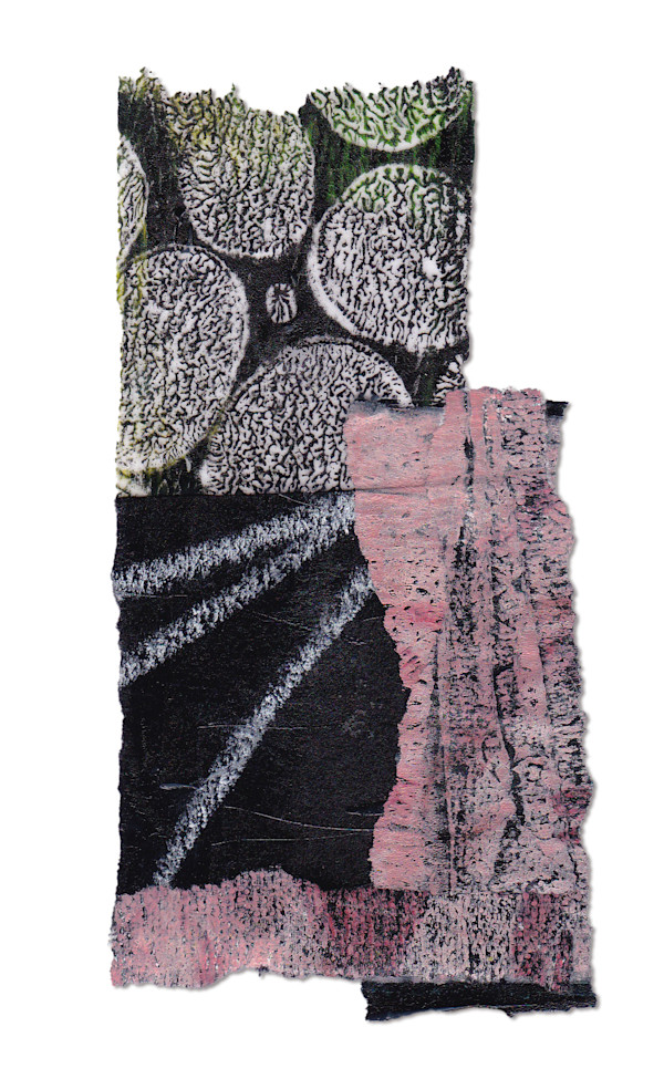 Day 341 — Jan 23, 2025 by Frank den Os, Image 1.