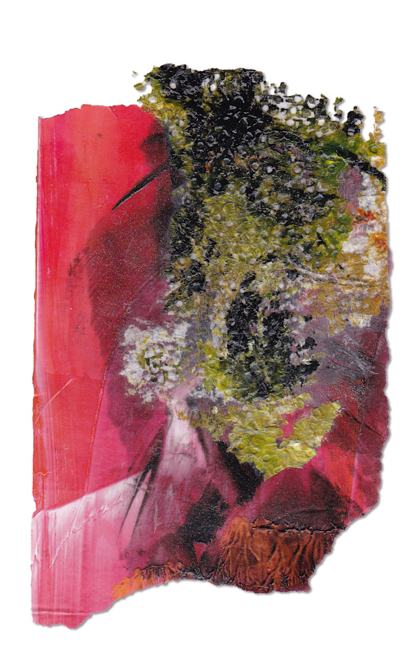 Day 347 — Jan 29, 2025 by Frank den Os, Image 1.
