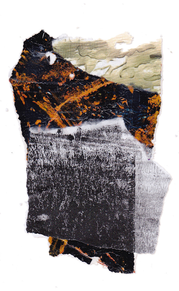 Day 360 — Feb 11, 2025 by Frank den Os, Image 1.