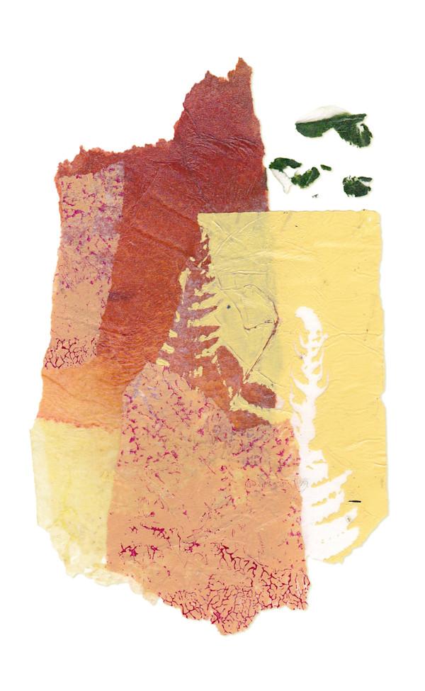 Day 438 — Apr 30, 2025 by Frank den Os, Image 1.