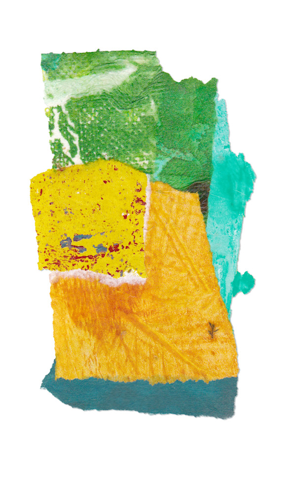 Day 482 — Jun 13, 2025 by Frank den Os, Image 1.