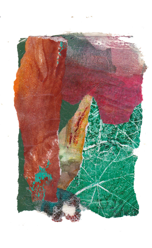 Day 490 — Jun 21, 2025 by Frank den Os, Image 1.