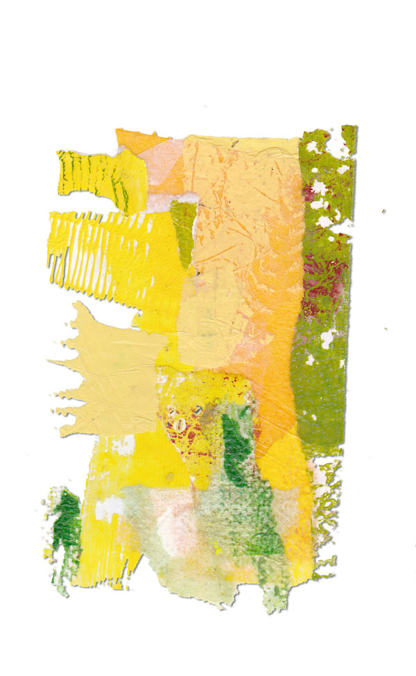 Day 493 — Jun 24, 2025 by Frank den Os, Image 1.