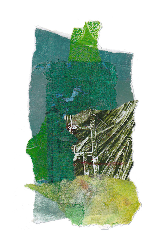 Day 504 — Jul 5, 2025 by Frank den Os, Image 1.