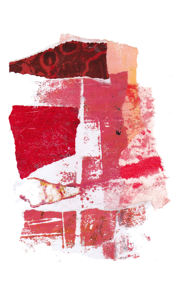 Day 505 — Jul 6, 2025 by Frank den Os, Image 1.
