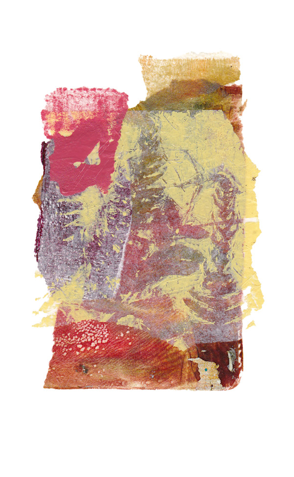 Day 538 — Aug 8, 2025 by Frank den Os, Image 1.