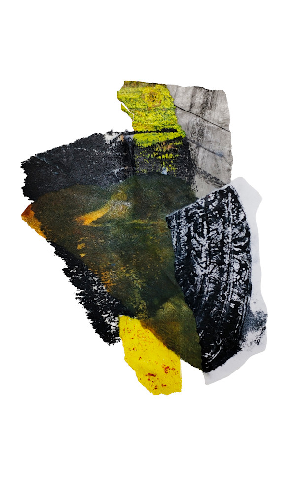 Day 700 — Jan 17, 2026 by Frank den Os, Image 1.