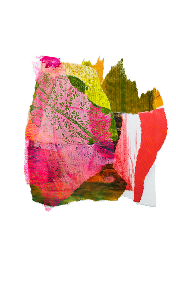 Day 706 — Jan 23, 2026 by Frank den Os, Image 1.