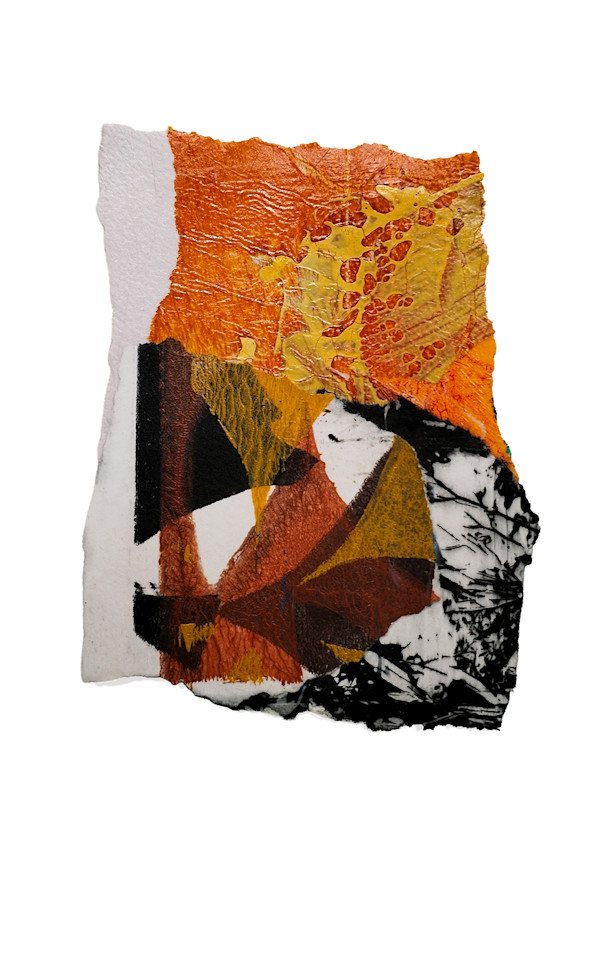 Day 715 — Feb 1, 2026 by Frank den Os, Image 1.