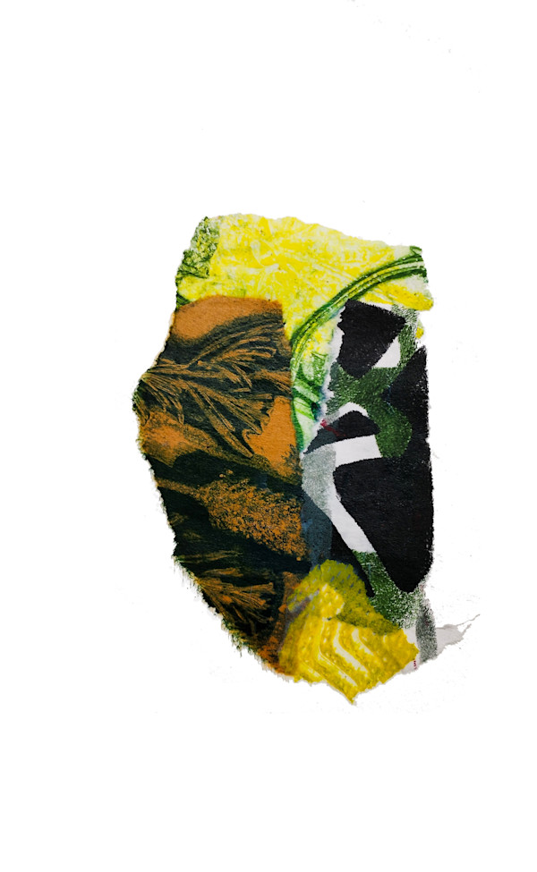 Day 720 — Feb 6, 2026 by Frank den Os, Image 1.