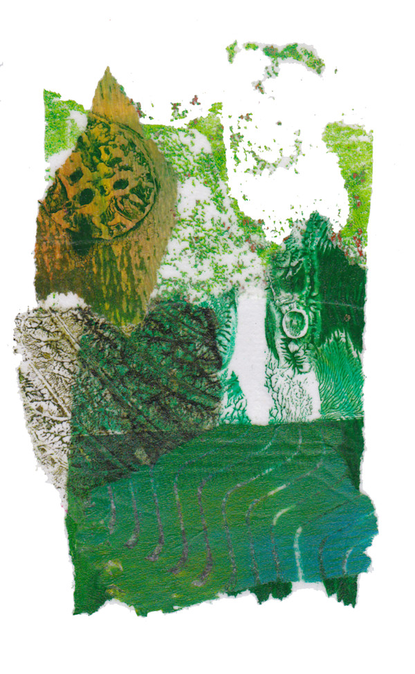 Day 75 — May 2, 2024 by Frank den Os, Image 1.
