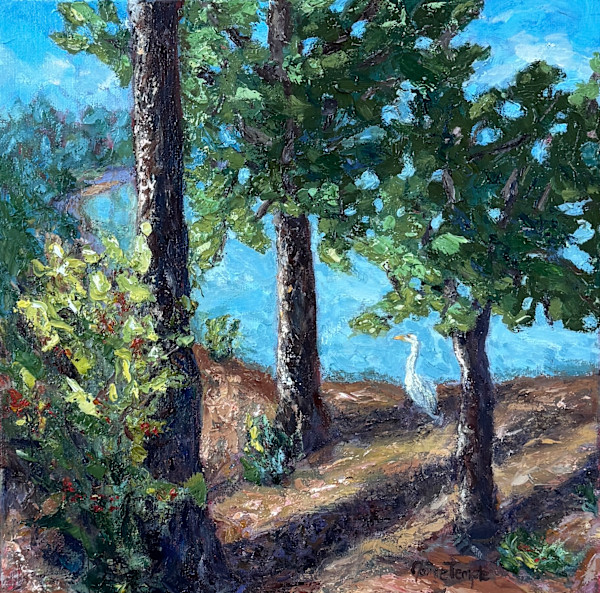 Durand Eastman Park in May by Jamie Temple, Image 1.
