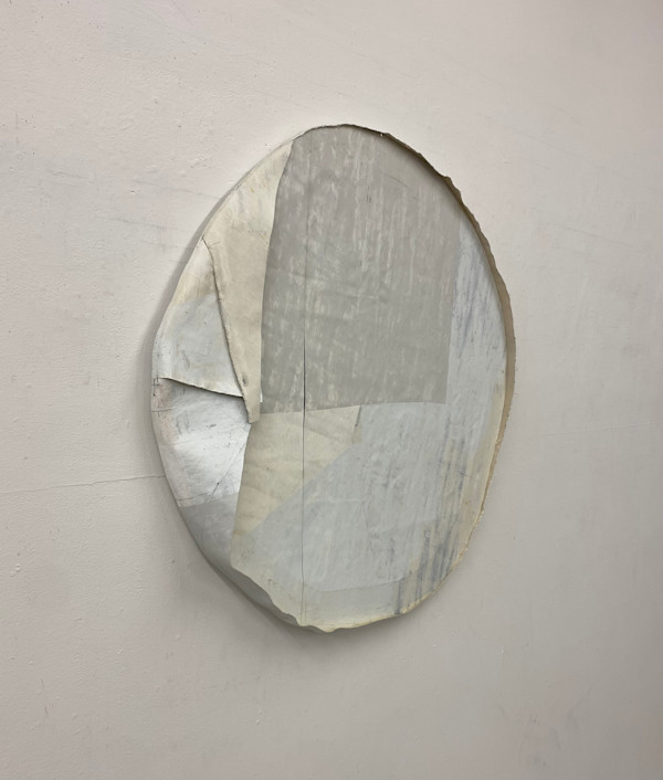 Dove by Steve Riedell